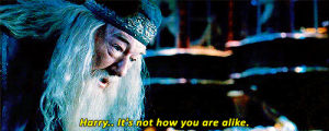 harry,harry potter,dumbledore,ootp