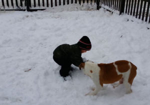 funny,dog,fail,lol,snow,fall,kid