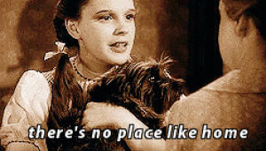 theres no place like home,wizard of oz,toto,dorothy gale