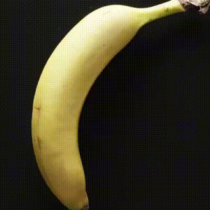 banana,whoa,scale