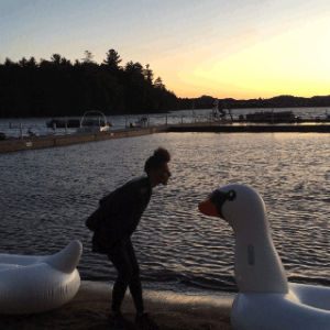 romantic,swan,kiss,sunset,summer camp