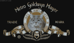 mgm,cat,logo,remix