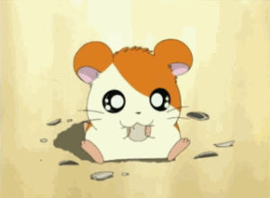 hamtaro,hamster,worried,anime,food,what,eating