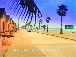 florida,80s,1980s,cars,palm trees