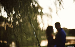 engagement,willow tree,couple,cinemagraph,wind,sunset,belle isle,front focus