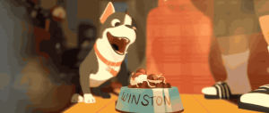 winston,cute,dog,food,disney,puppy,yum,feast,big hero 6,walt disney animation studios,boston terrier