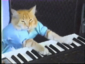 keyboard cat,piano,play