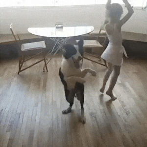 dog,girl,moves,ballerina