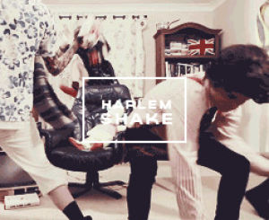 harlem shake,funny,love,fun,party,life,tumblr,girls,peace,boys,party hard,terrorist