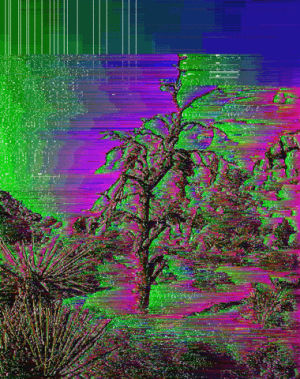 glitch,desert,the current sea,3d,nature,glitch art,neon,tree,stereoscopic,sarah zucker,thecurrentseala,joshua tree,pixelsorting,artist