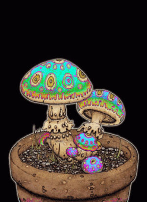 psychedelic,shrooms