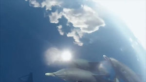 clouds,dolphins,jgvid