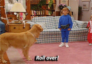 full house,f,five,5,child fc,michelle tanner,collected,mary kate and ashley hunt,fire