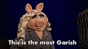 miss piggy,30 day challenge,project runway
