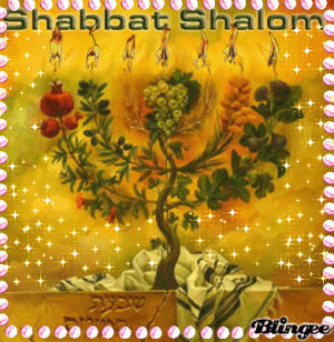shalom,shabbat,picture,peace