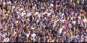 ovation,stadium,applause,arena,applaud,clap,sports,soccer,people,clapping,ligue 1,stand,tfc,toulouse fc