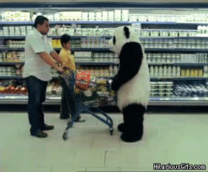 grocery store,food,animal,mad,panda