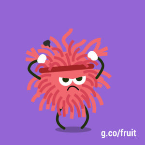 lychee,fruit games,google doodle,google,rage