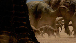brachiosaurus,velociraptor,movie,disney,dinosaur,dinosaurs,foo
