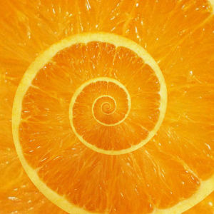 summer,orange,food,vitamin,spiral,fruit,fruits,juice,hypnosis,fresh,spirals,vitamin c,citrus,delicious,garden,hypnotic,konczakowski,slice,juicy,refreshing,refresh,mesmerising,delight,juices,sliced,juicer
