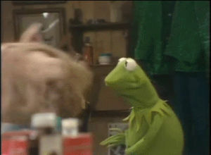 muppets,kermit,buzzfeed,the muppet show,domestic violence,domestic abuse,craap,fav rachel