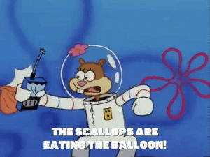episode 16,season 1,valentines day,spongebob squarepants
