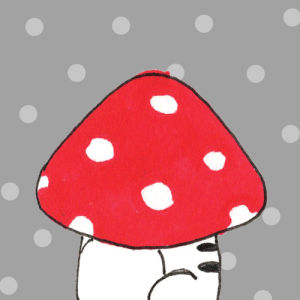 cat,cute,red,creature,hiding,mushroom,go away,polkadots,26brbfcrqgasxmzcm