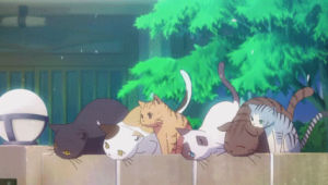 cute animal,anime,animal,kawaii,adorable,cute cats,kawaii cat