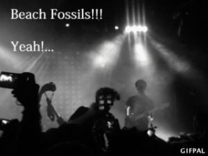 beach,what,yay,wait,fossils