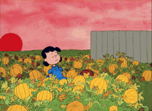 pumpkin,halloween,no,mad,charlie brown,aww,lucy,great pumpkin,rejected,gameraboy,linus,its the great pumpkin charlie brown