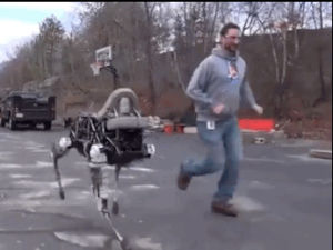 boston dynamics,skynet,robot,spot,running robot
