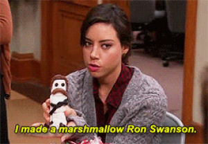parks and recreation,funny gif,ron swanson