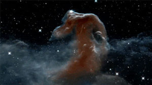 head,horse,nebula