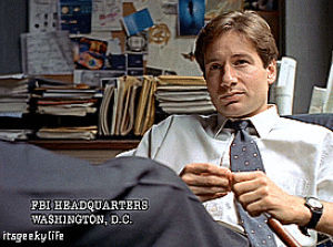 david duchovny,fox mulder,x,chris carter,gillian anderson,dana scully,xfiles,the truth is out there,i want to believe,special agent fox mulder,special agent dana scully,trust no one,mitch pileggi,assistant director skinner