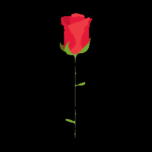 rose,emoji,transparent,red,flower