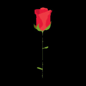 Файл rose gif был. Гиф роза макет. Emoji роза. Gif эмодзи роза. ТИКТОК гифки цветы.