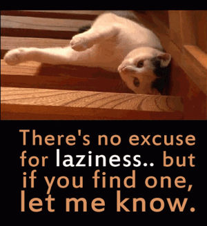 cat,guide,laziness