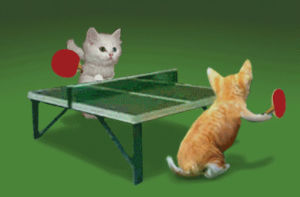 tennis,table,images,players,mania