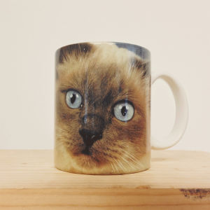 coffee,cat,kitty,hipster,dumb,mug