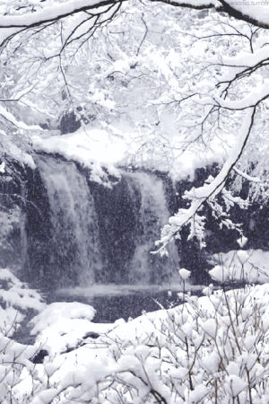 snow,cinemagraph,freeze,winter,falls,chill