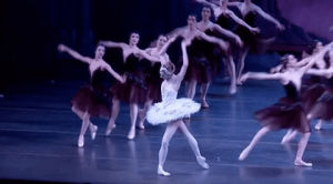 black swan,ballet,ballerina,new york city ballet,nycb,nycballet,tutu,swan lake,odette,white swan,odile,maria kowroski,tschaikovsky