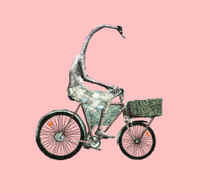 swan,bicycle,illustration,pink