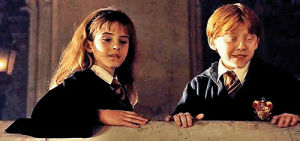 ron weasley,hogwarts,hermione granger,ron and hermione,hermione and ron,emma watson,rupert grint,ronald weasley,brainless