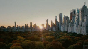 timelapse,city,central park,new york