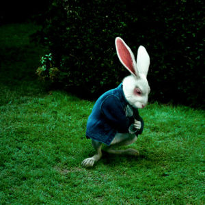 time,alice in wonderland,white rabbit,movie,clock,rabbit,fantasy