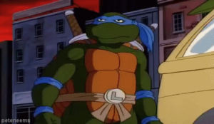 leonardo,ninja turtles,teenage mutant ninja turtles,tmnt,90s,cartoon,cartoons
