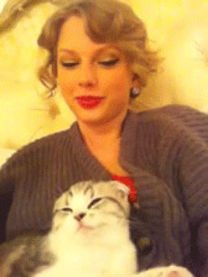 taylor swift,taylor swift cat,taylor swift funny,taylor swift quote,taylor swift video,taylor swift text