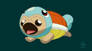 pug,squirtle,running,tired,costume,effort