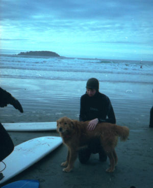 3d,beach,dog,nature,waves,surf,cam,3d photo