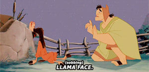 the emperors new groove,crying,llama